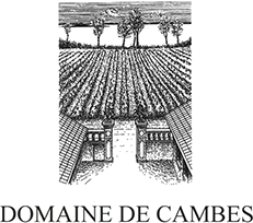 [L&A] ドメーヌ・ド・カンブ<br>Domaine de Cambes