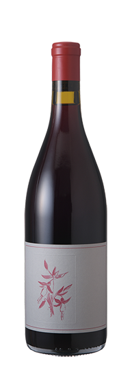 アルノー・ロバーツ ガメイ ・ノワール エル・ドラード 2023 : WINE TO