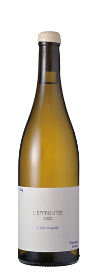 ドミニク・バルブ レフロンテ ヴァン・ド・フランス 2022 : WINE TO STYLE