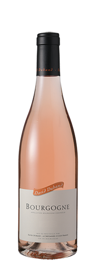 ドメーヌ・ダヴィド・デュバン ブルゴーニュ・ロゼ 2023 : WINE TO STYLE