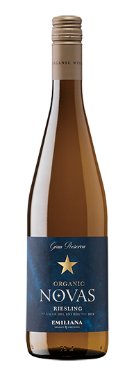 bella vino ワインオープナー　送料無料 bella vino ワインオープナー 送料無料 bella vino ワインオープナー