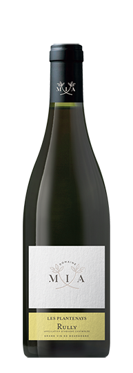 ドメーヌ・ミア リュリー・ブラン レ・プラントネイ 2022 : WINE TO STYLE