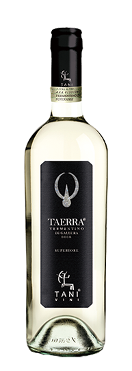 カンティーナ・ターニ “タエッラ” ヴェルメンティーノ・ディ